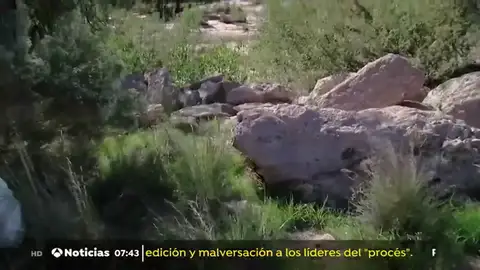 Una mujer sobrevive seis días en el desierto de Arizona tras sufrir un accidente Una mujer sobrevive seis días en el desierto de Arizona tras sufrir un accidente