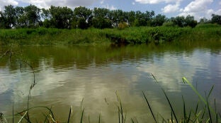 R&iacute;o_Tajo_a_su_paso_por_Talavera
