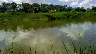 Río_Tajo_a_su_paso_por_Talavera Río_Tajo_a_su_paso_por_Talavera
