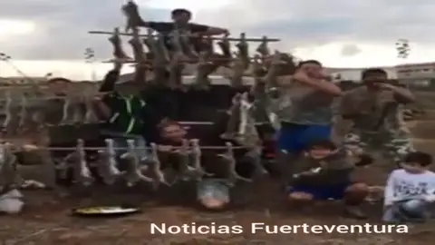 Unos cazadores de Fuerteventura exhiben 52 conejos muertos Unos cazadores de Fuerteventura exhiben 52 conejos muertos