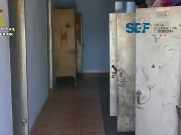 Desarticulada una red dedicada a la Trata de Seres Humanos por explotación laboral en vendimias Desarticulada una red dedicada a la Trata de Seres Humanos por explotación laboral en vendimias