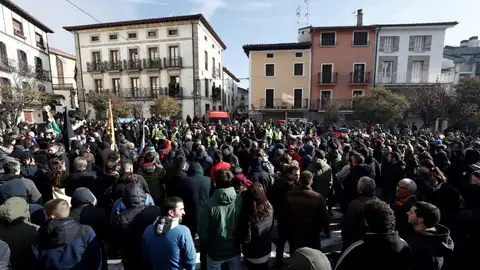 Manifestación que en Alsasua en contra de la plataforma 'España Ciudadana' Manifestación que en Alsasua en contra de la plataforma 'España Ciudadana'