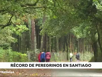 NUEVAperegrinos NUEVAperegrinos