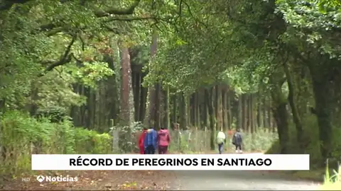 NUEVAperegrinos NUEVAperegrinos