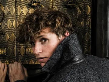 Eddie Redmayne es Newt Scamander Eddie Redmayne es Newt Scamander