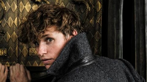Eddie Redmayne es Newt Scamander