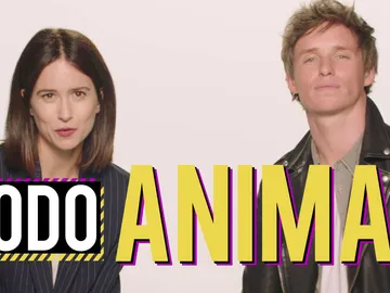 Katherine Waterston y Eddie Redmayne Katherine Waterston y Eddie Redmayne