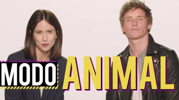 Katherine Waterston y Eddie Redmayne Katherine Waterston y Eddie Redmayne