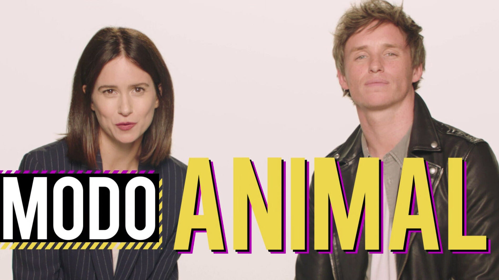 Katherine Waterston y Eddie Redmayne