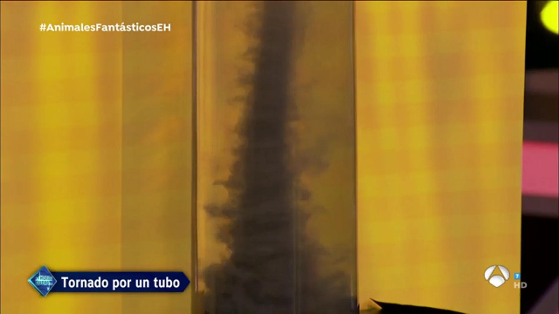 Un tornado se cuela en el platÃ³ de 'El Hormiguero 3.0' durante la visita de Eddie Redmayne y Callum Turner