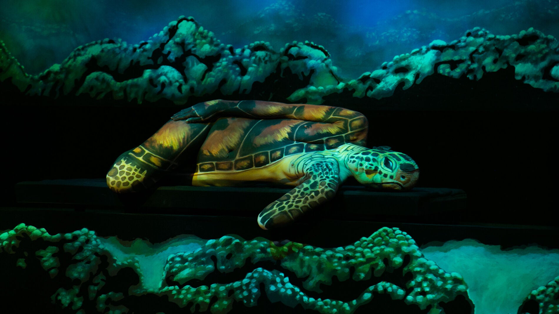 Disfruta de un arte muy especial con animales fant&aacute;sticos en 'El Hormiguero 3.0'