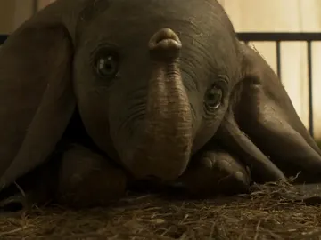 'Dumbo', el remake de Tim Burton 'Dumbo', el remake de Tim Burton