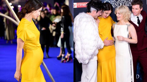 Katherine Waterston confirma que está embarazada en la premiere de 'Animales Fantásticos: Los Crímenes de Grindelwald'