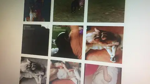 Imágenes de Simba y su dueña Imágenes de Simba y su dueña