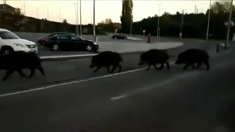 La ia La ia