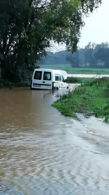 Imagen del vehículo atrapado Imagen del vehículo atrapado