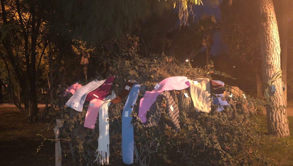 Bufandas colgadas en un árbol