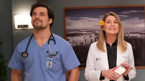 Andrew DeLuca y Meredith en 'Anatomía de Grey' Andrew DeLuca y Meredith en 'Anatomía de Grey'