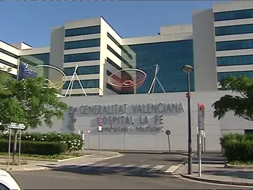 El hospital La Fe utiliza las mismas máquinas para hacer resonancias a personas y animales El hospital La Fe utiliza las mismas máquinas para hacer resonancias a personas y animales