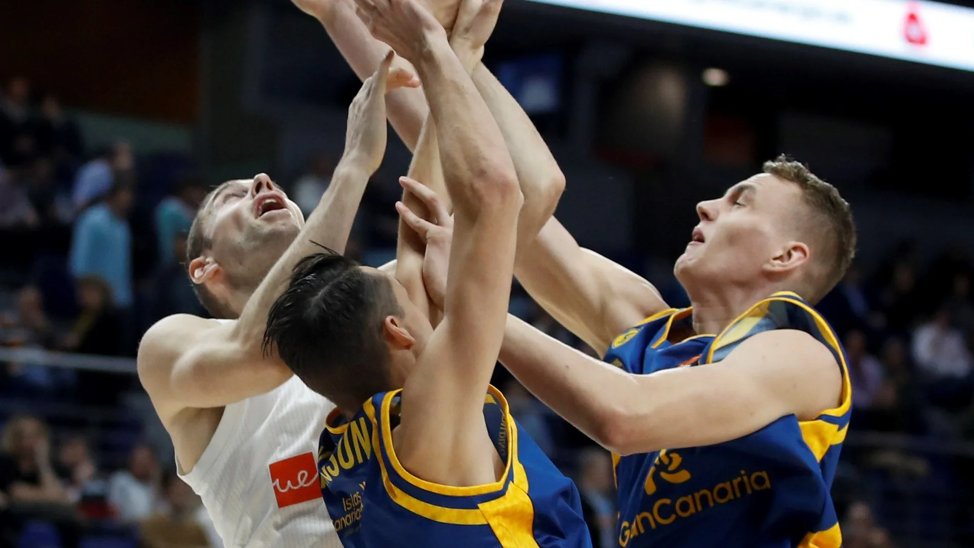 Momento del partido entre Real Madrid y Herbalife Gran Canaria Momento del partido entre Real Madrid y Herbalife Gran Canaria