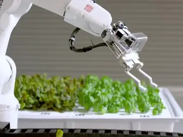 Primera granja de cultivo operada con inteligencia artificial Primera granja de cultivo operada con inteligencia artificial