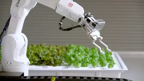 Primera granja de cultivo operada con inteligencia artificial Primera granja de cultivo operada con inteligencia artificial