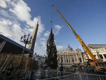 Árbol de Navidad en la Plaza de San Pedro del Vaticano Árbol de Navidad en la Plaza de San Pedro del Vaticano