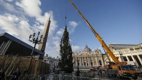 Árbol de Navidad en la Plaza de San Pedro del Vaticano Árbol de Navidad en la Plaza de San Pedro del Vaticano
