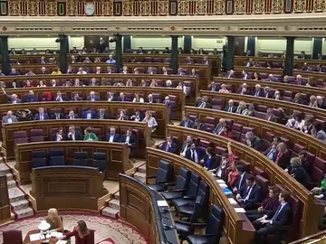 El Congreso de los Diputados El Congreso de los Diputados