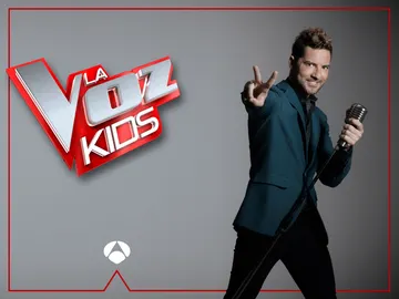 David Bisbal David Bisbal