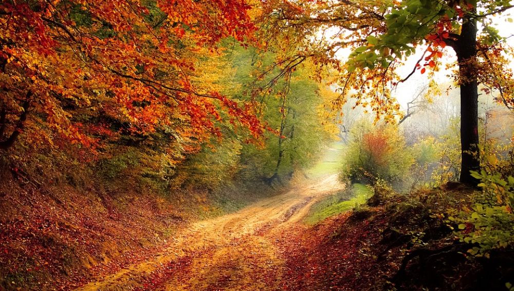 Equinoccio de otoño 2019: ¿Cuándo empieza el otoño?