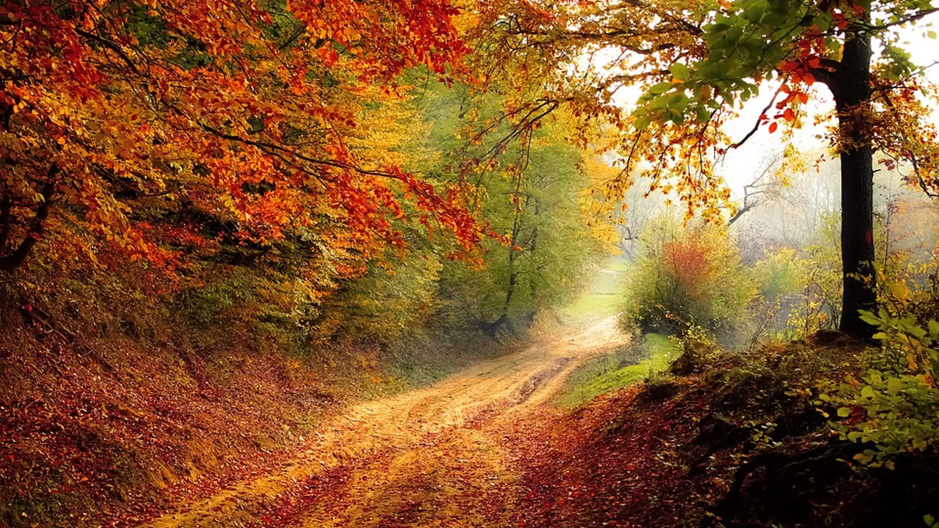 Otoño