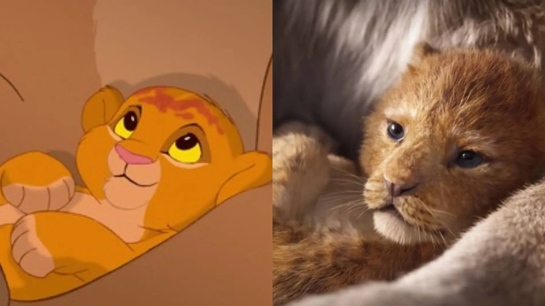 Comparación de 'El Rey León' original y el remake