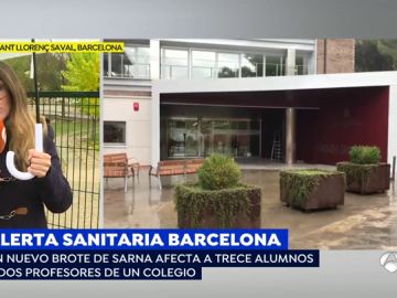 Un nuevo brote de sarna en Barcelona afecta a 13 niños: el familiar de alguno de ellos se lo contagió