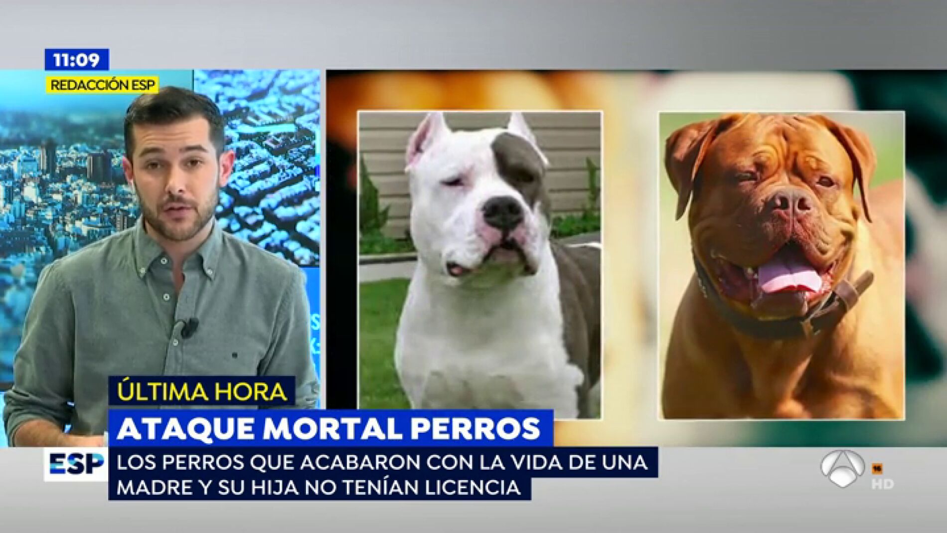 Ataque de perros en Colmenar de Oreja.