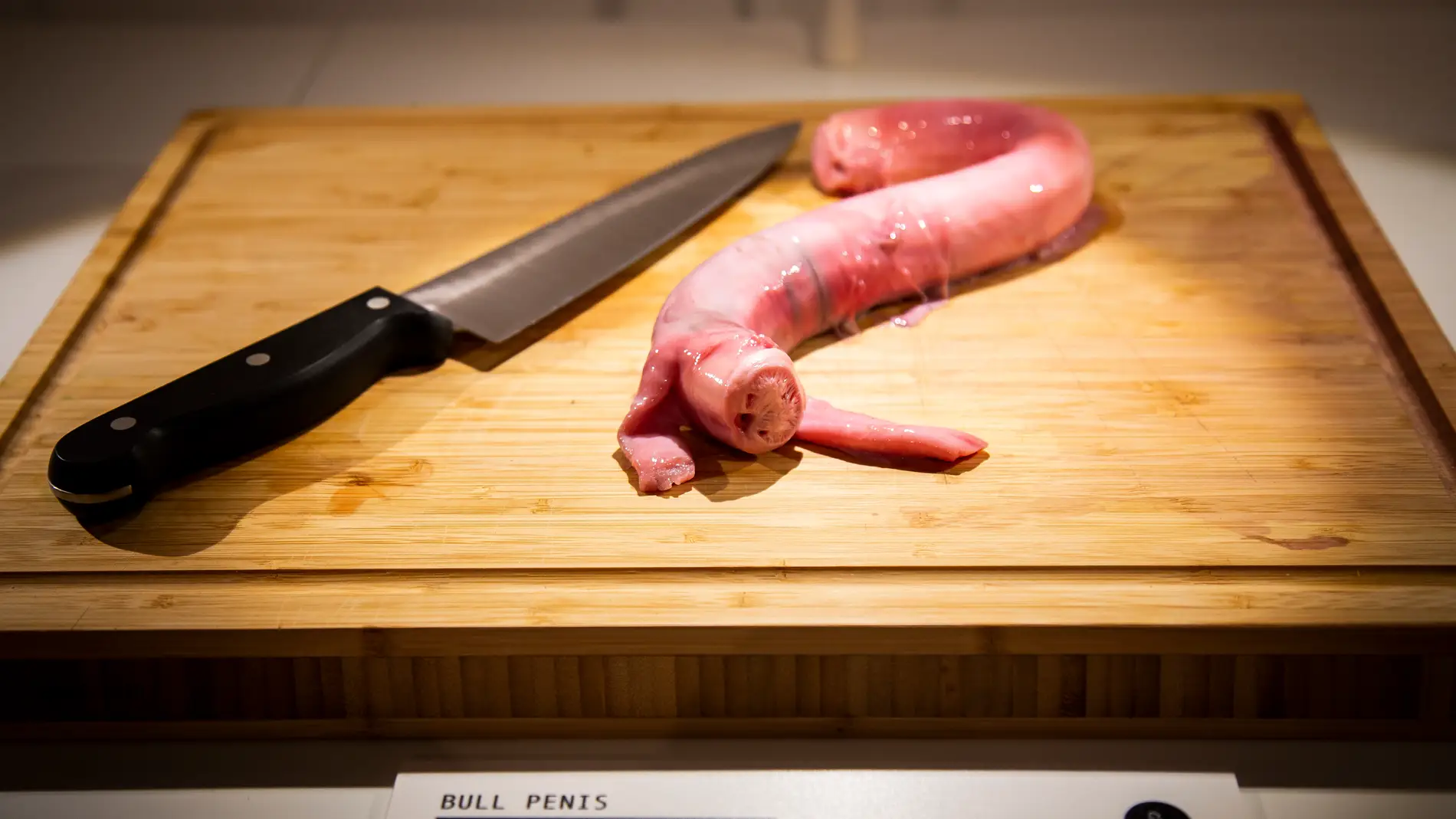 Disgusting Food Museum