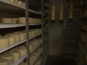 Quesos crema Quesos crema