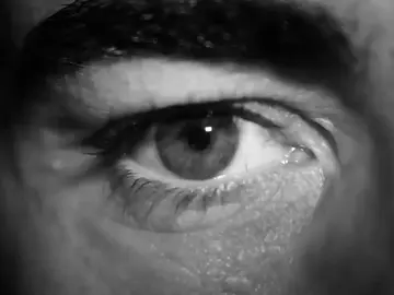 El vídeo-homenaje de Fernando Alonso en su última carrera en F1: "Soy un piloto" El vídeo-homenaje de Fernando Alonso en su última carrera en F1: "Soy un piloto"