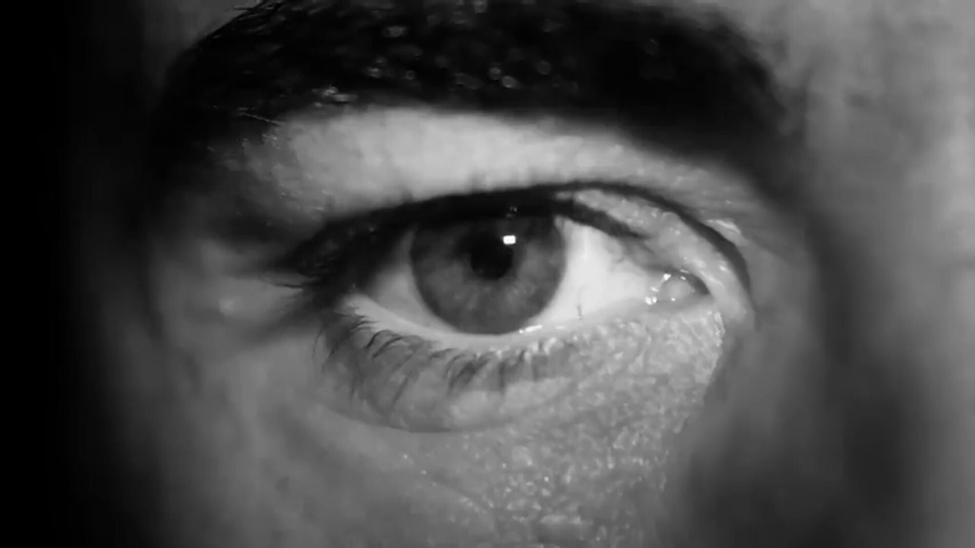 El v&iacute;deo-homenaje de Fernando Alonso en su &uacute;ltima carrera en F1: "Soy un piloto"