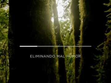 campal&ntilde;a