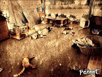 Los gatos que aparecieron muertos Los gatos que aparecieron muertos