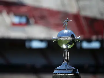 Detalle de la Copa Libertadores Detalle de la Copa Libertadores