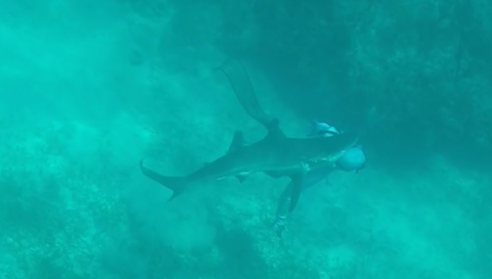 Un tiburón muerde la cabeza a un pescador