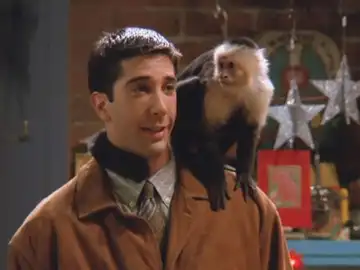 Ross y Marcel en 'Friends' Ross y Marcel en 'Friends'
