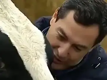 La surrealista conversación de Juanma Moreno con una vaca en plena campaña electoral La surrealista conversación de Juanma Moreno con una vaca en plena campaña electoral