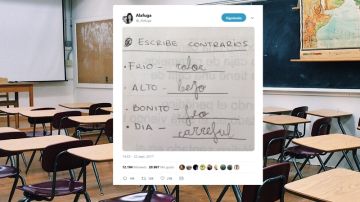 Respuestas geniales en exámenes