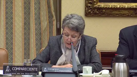 Rosa María Mateo pide disculpas al diputado del PP al que insultó en su comparecencia parlamentaria: "No respeté la cortesía" Rosa María Mateo pide disculpas al diputado del PP al que insultó en su comparecencia parlamentaria: "No respeté la cortesía"