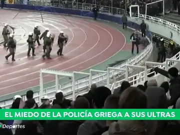 MiedoPolicia_a3d MiedoPolicia_a3d