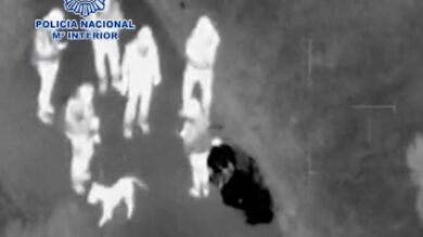 Un perro salva a un hombre de 80 años que se encontraba perdido en una zona boscosa de Marbella