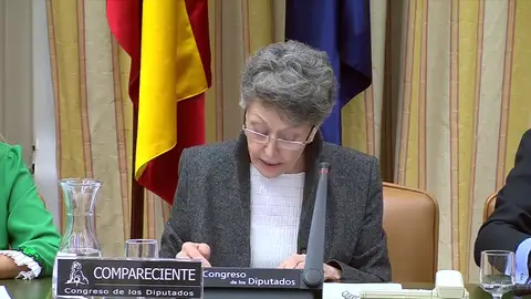 Comparecencia en el Congreso de Rosa María Mateo Comparecencia en el Congreso de Rosa María Mateo